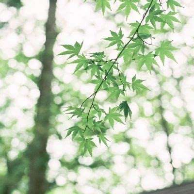 倒水排序模拟器手机版下载